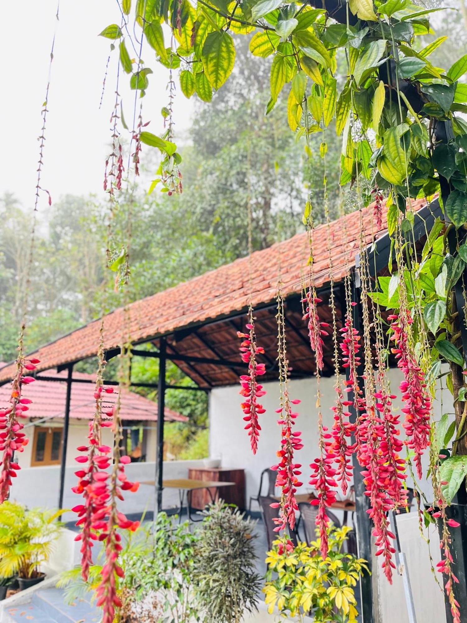 Partho Home Stay Padinjarathara Εξωτερικό φωτογραφία